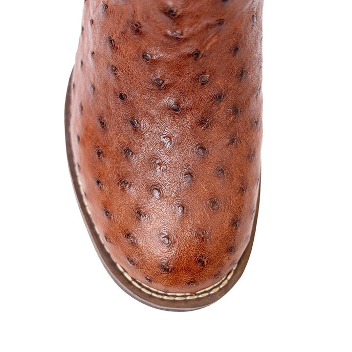 Bota Strut Masculina Couro De Avestruz Cheio St009 Caramelo - Strut