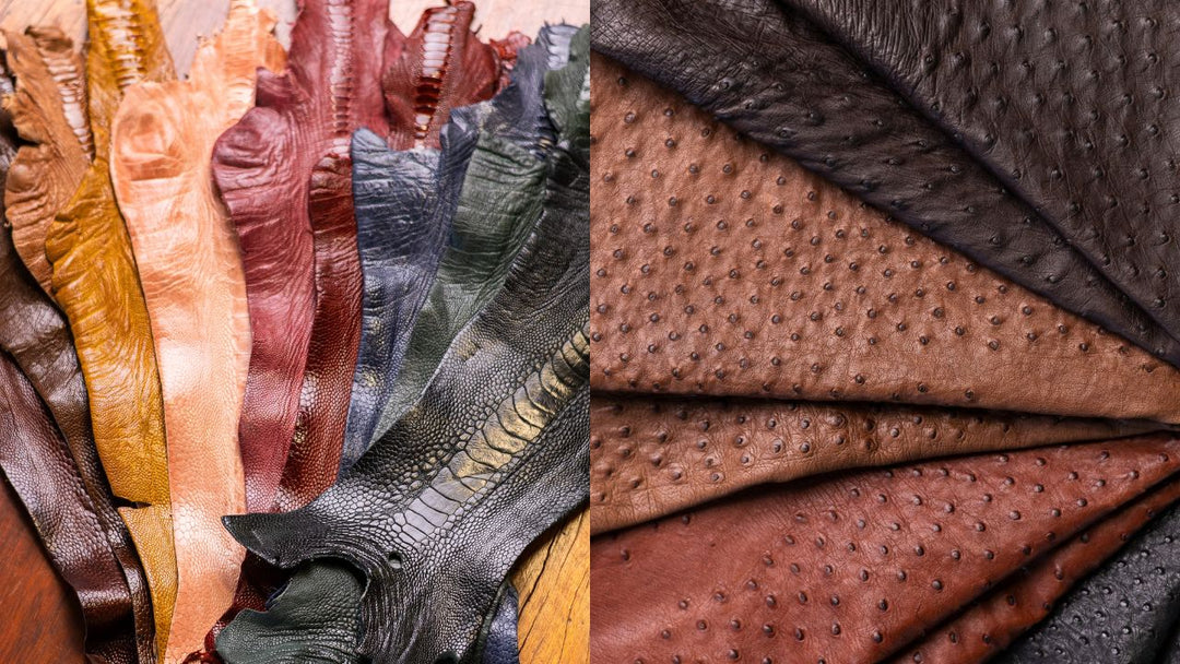 Couro de Avestruz Cheio vs Canela: Qual a Diferença?