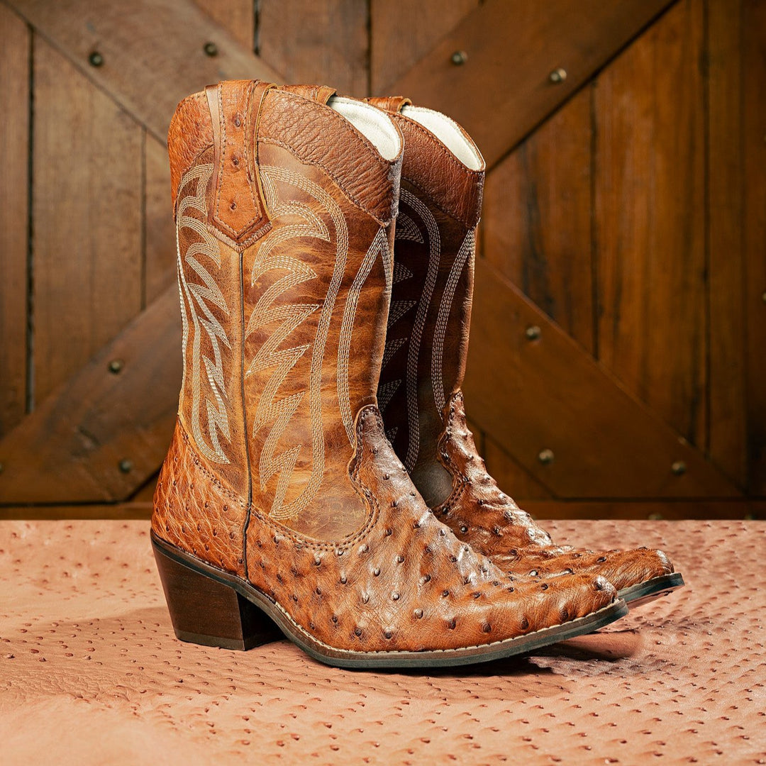 Botas Femininas - Strut