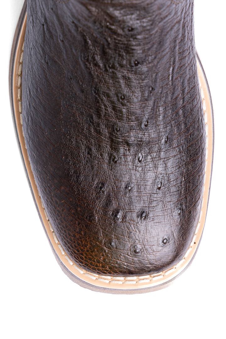 Detalhe do bico quadrado da bota masculina Strut em couro de avestruz liso café