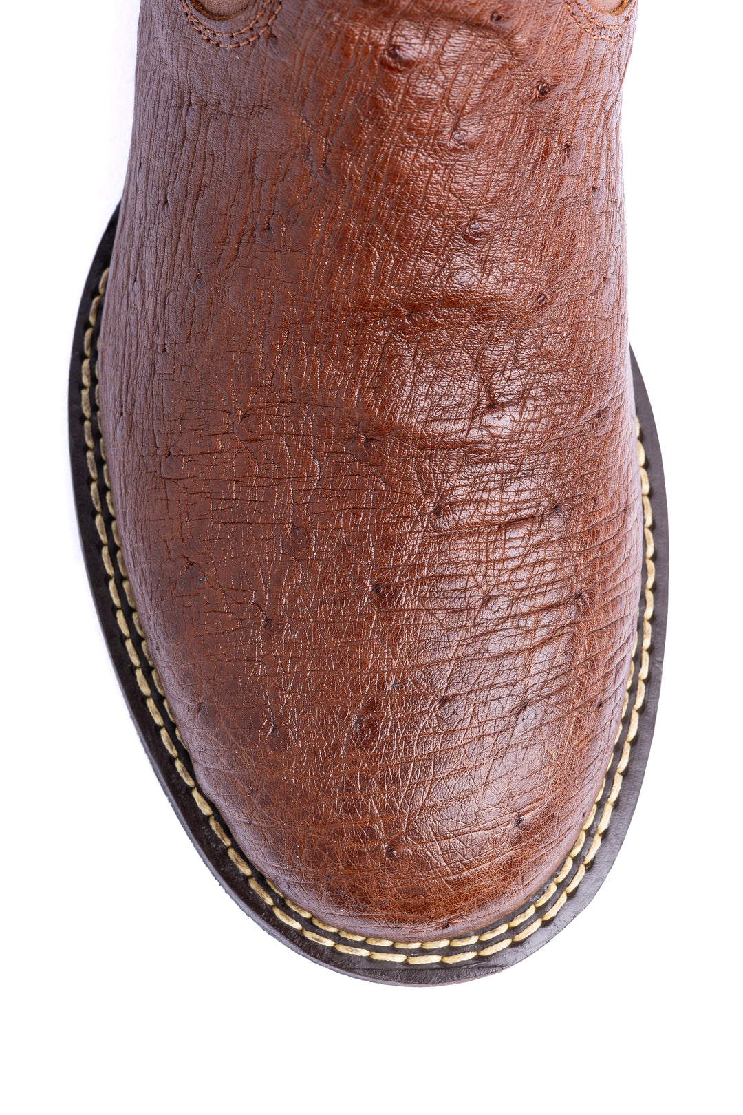 Detalhe do bico redondo da bota masculina Strut em couro de avestruz liso caramelo