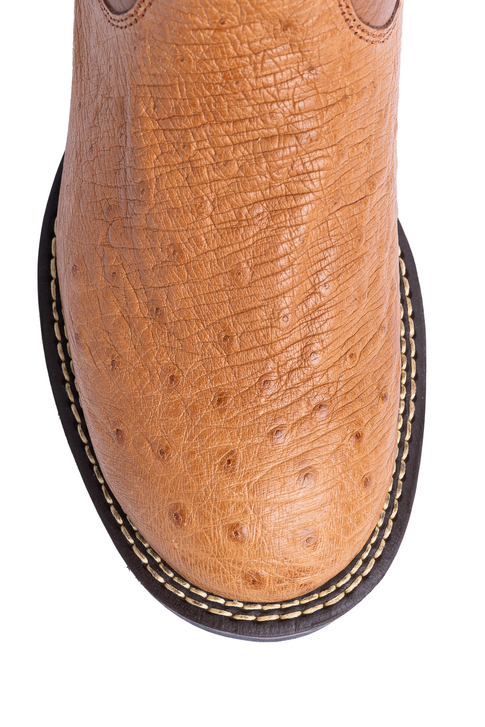 Detalhe do bico redondo da bota masculina Strut em couro de avestruz liso chestnut