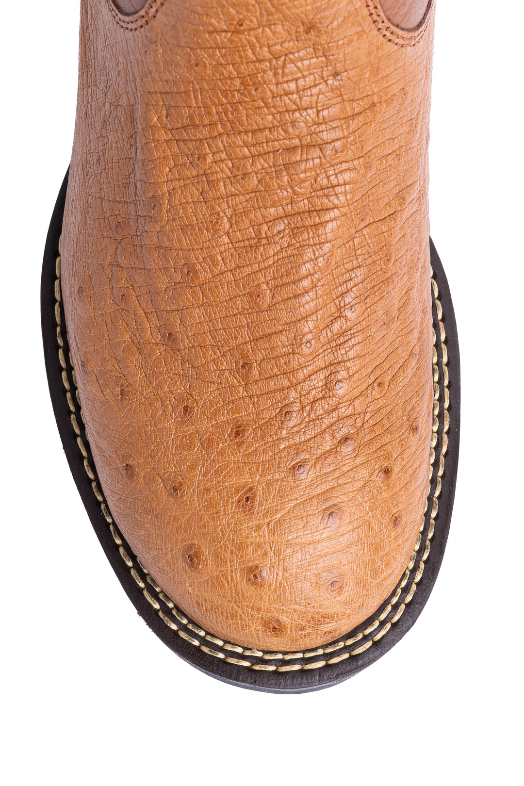 Detalhe do bico redondo da bota masculina Strut em couro de avestruz liso chestnut