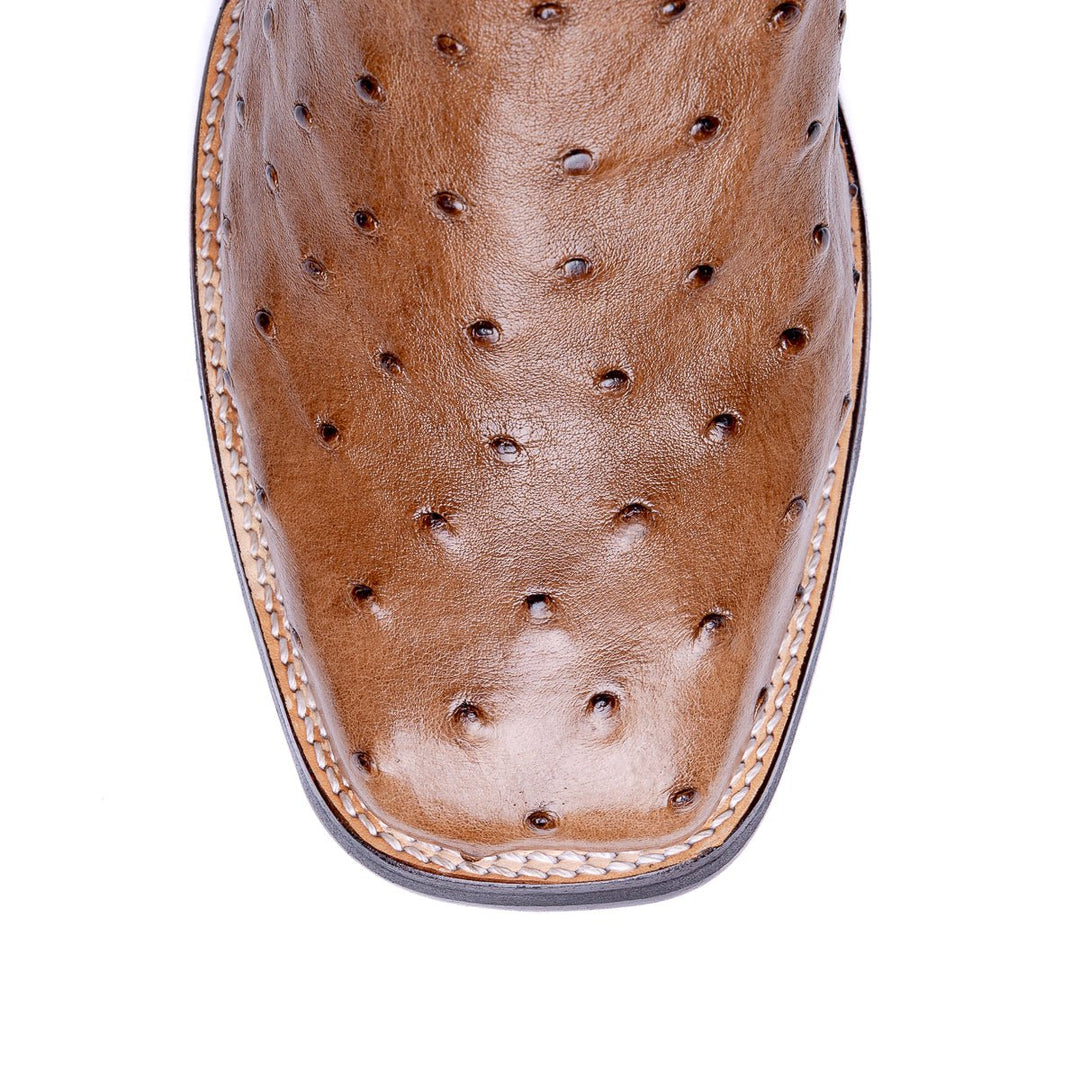 Bota Masculina Strut ST029 Couro de Avestruz e Cano Bordado - Strut