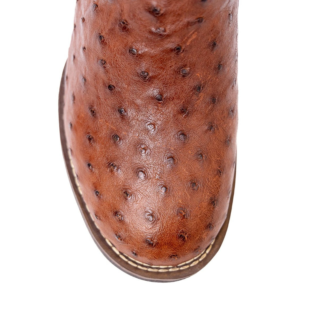 Bota Strut Masculina Couro De Avestruz Cheio St009 Caramelo - Strut