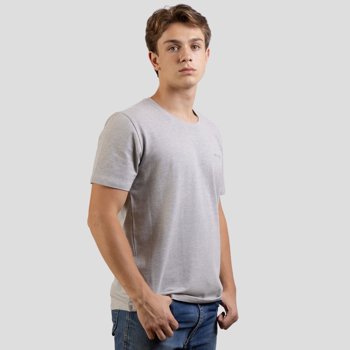 Camiseta Gola Careca Strut Basica Lisa Cinza Mescla - Strut