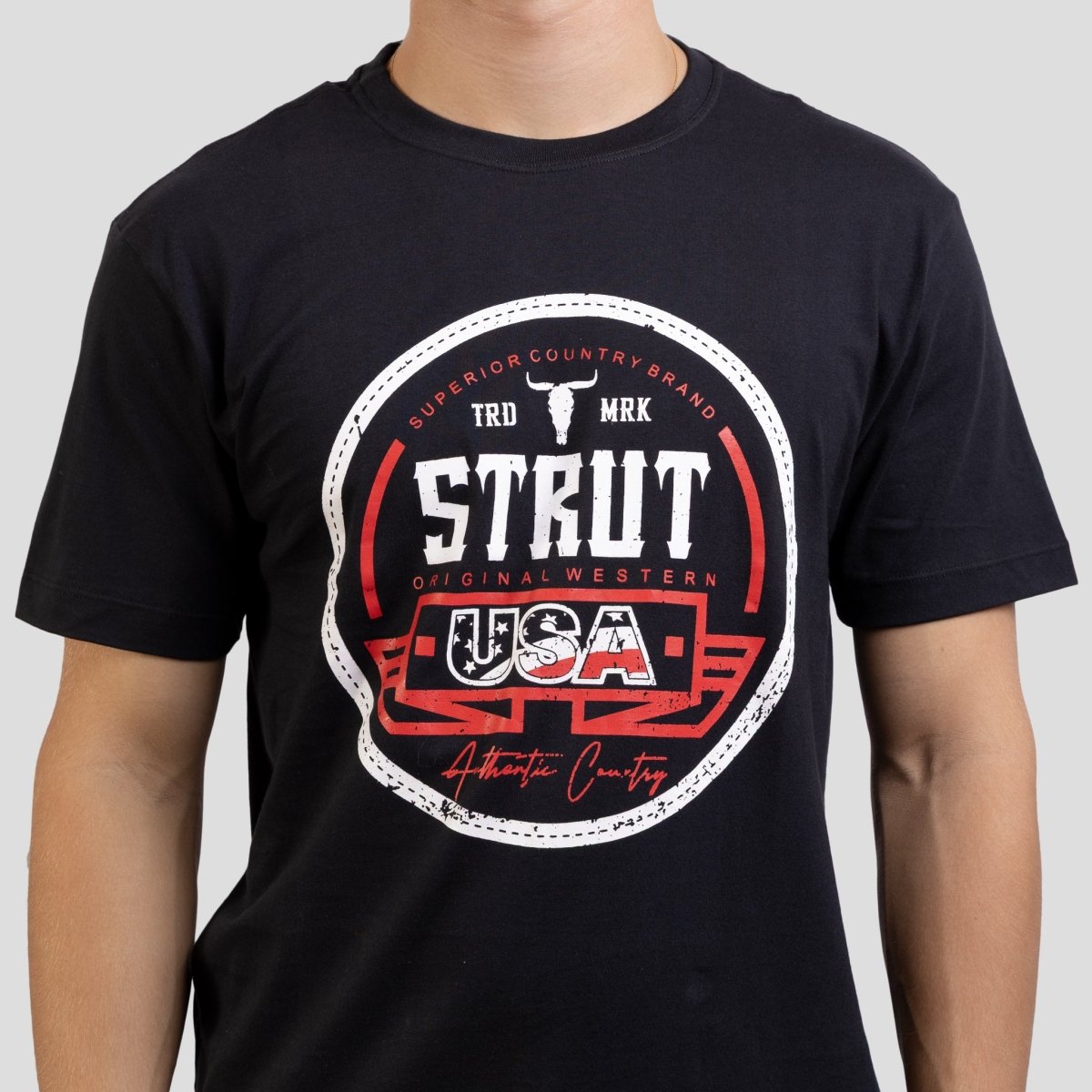 Camiseta Masculina Gola Redonda Estampa Strut Usa - Strut