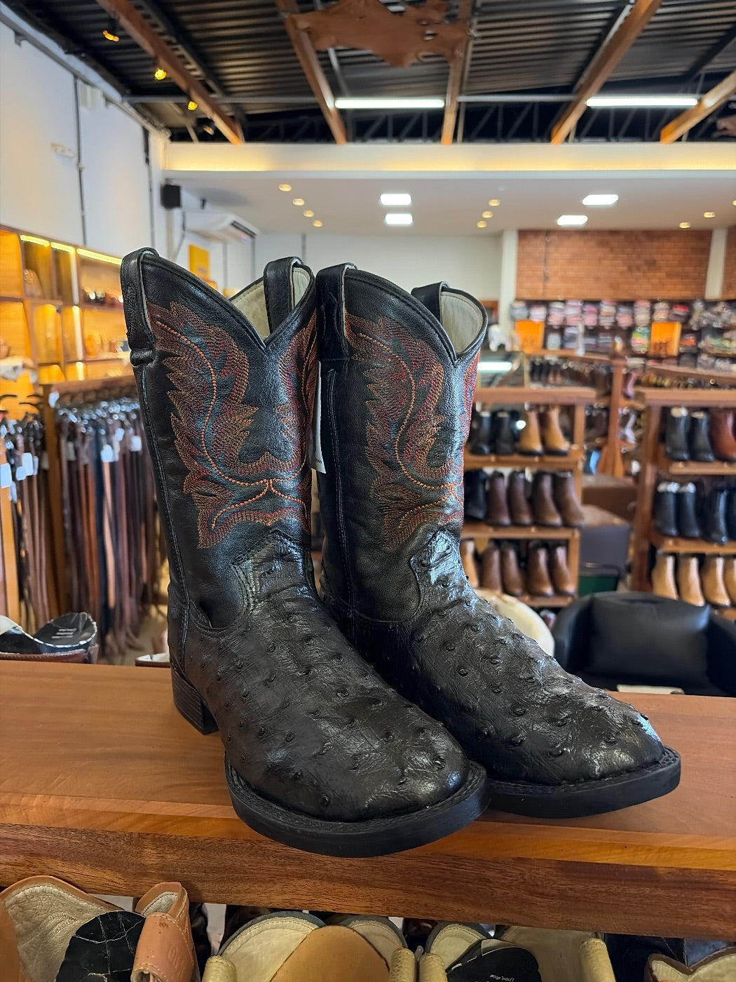 Bota Masculina Strut em Couro de Avestruz Cheio Preto com Cano Preto Bordado Laranja, Vermelho e Azul (foto provisória da prateleira)