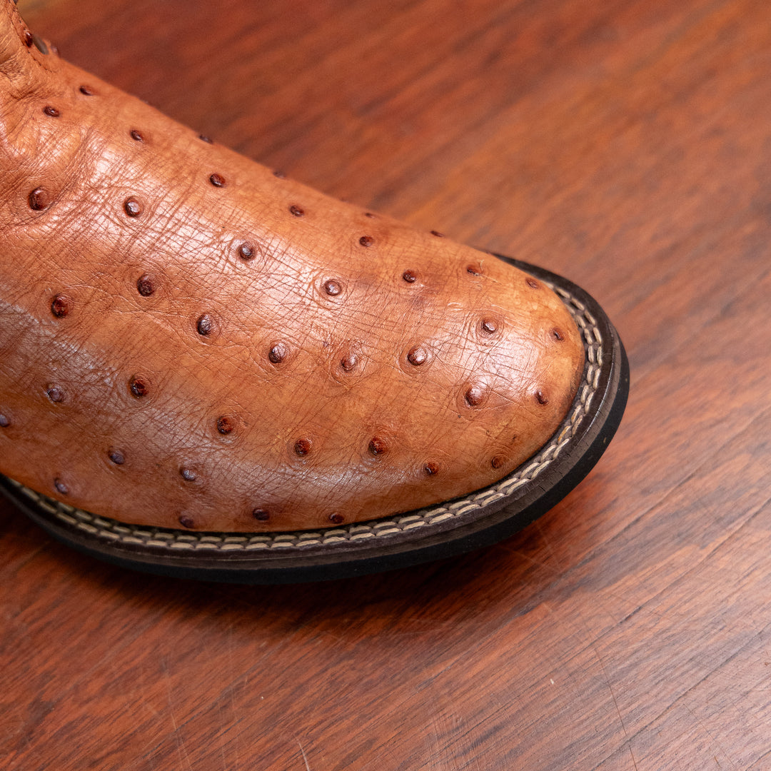 Detalhe do bico redondo da bota masculina strut em couro de avestruz cheio chestnut com cano marrom-escuro bordado laranja e bege
