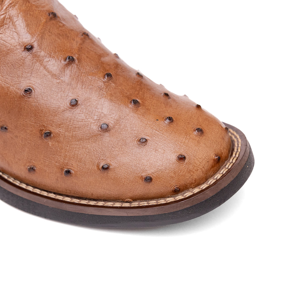 Detalhe do bico redondo da bota masculina strut em couro de avestruz cheio tabaco com cano caramelo bordado azul e bege