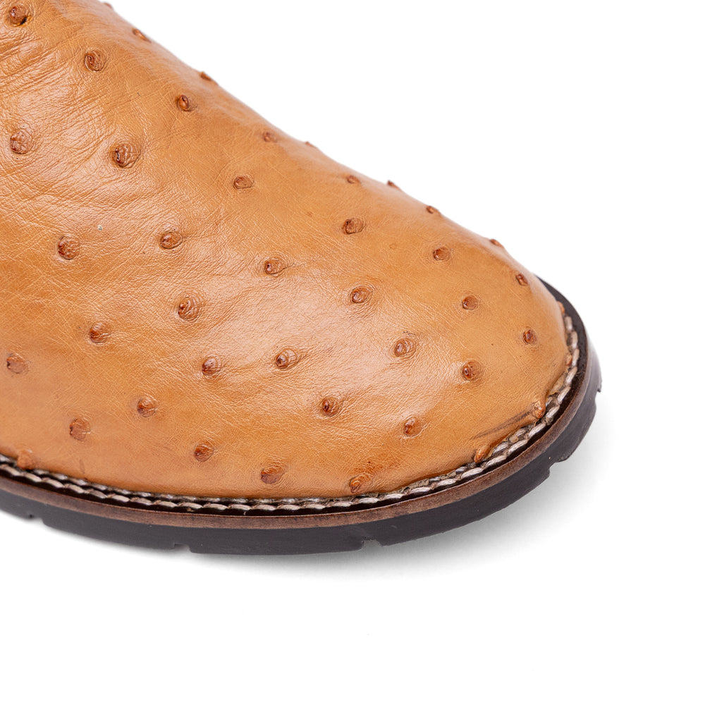 Detalhe do bico redondo da bota masculina strut em couro de avestruz cheio chestnut com cano marrom-escuro bordado azul, amarelo e vermelho